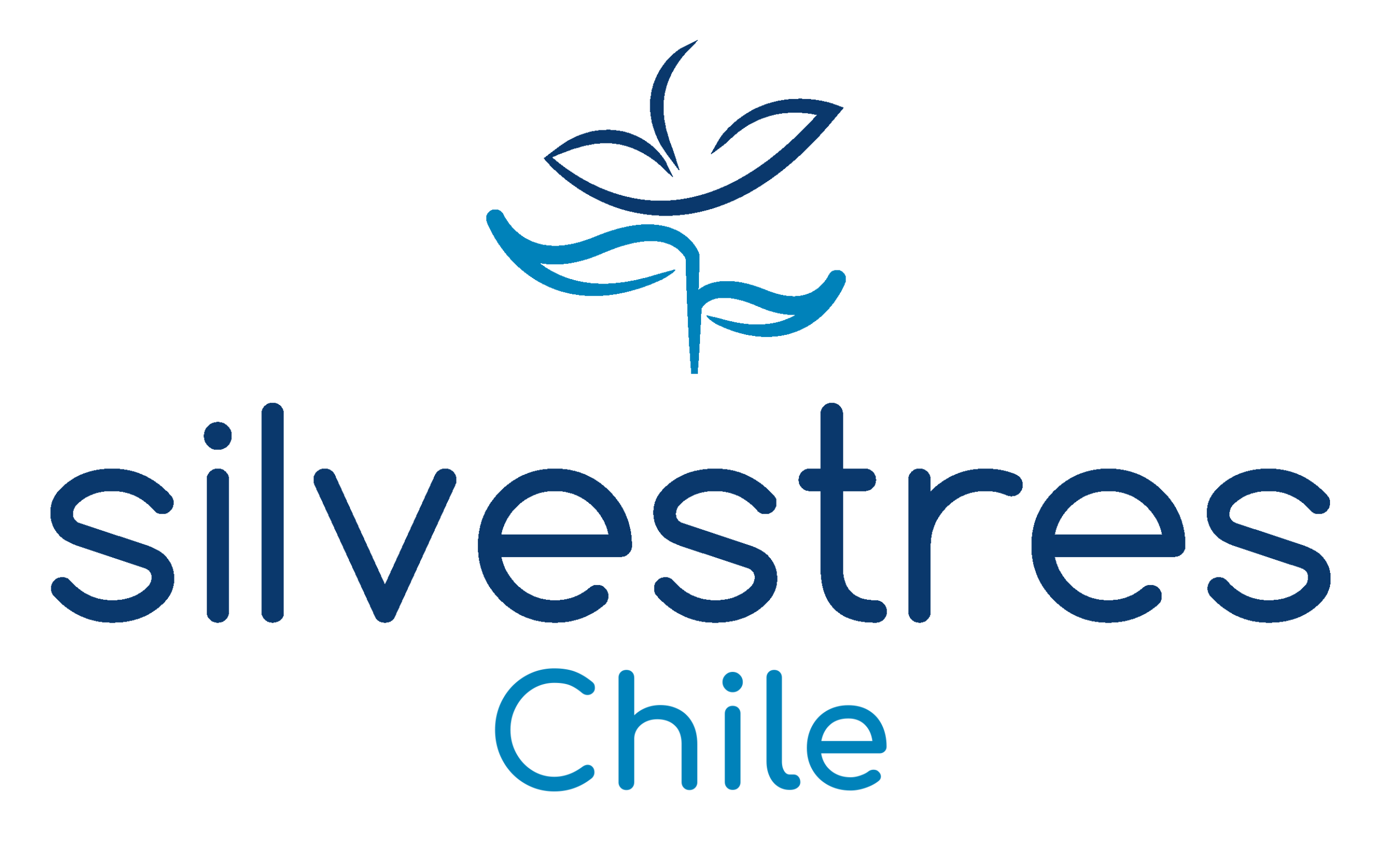 Comercial Silvestres Chile